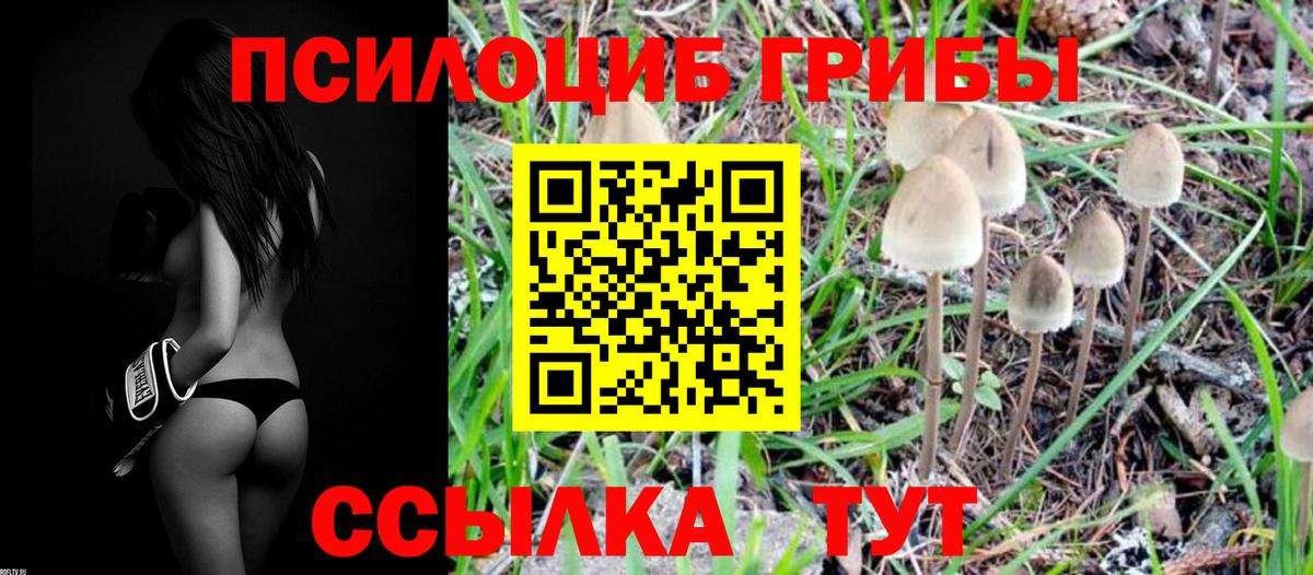 Галлюциногенные грибы Magic Shrooms  Вход с VPN  Тольятти 