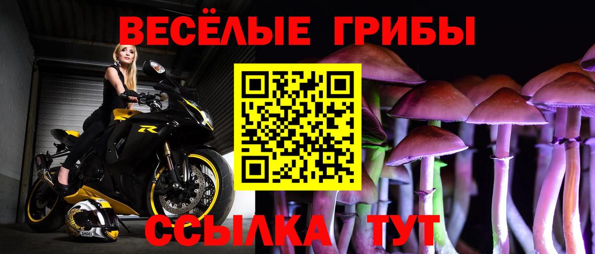 Галлюциногенные грибы Magic Shrooms Тольятти